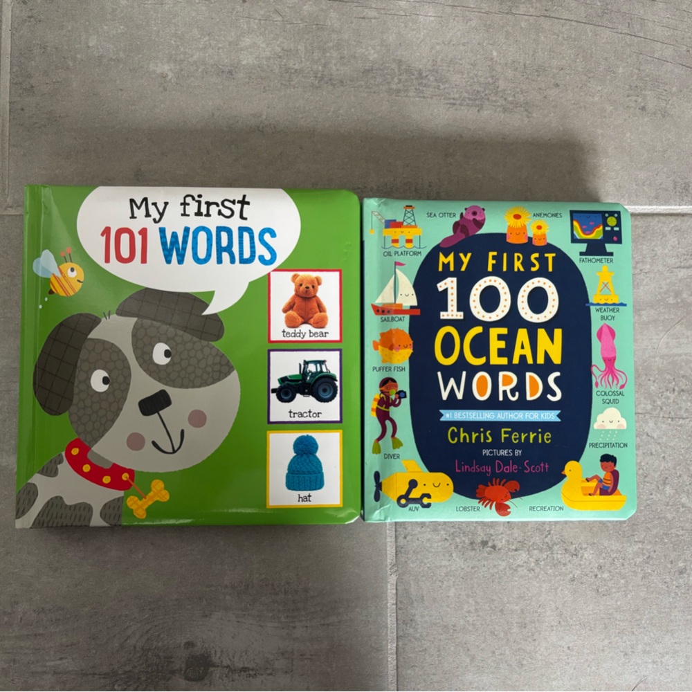 NWOT Children's Book Set - My First Words Collection